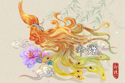 卦占卜免费测算|流年命盘排盘|八字看女命贞洁|甲子排盘|占卜卦象解释